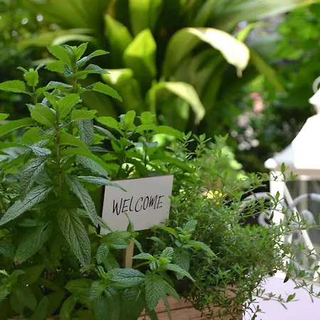 Dolce Santo Stefano Appartement *