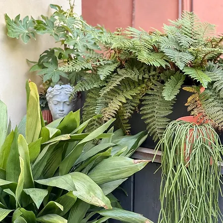 アパート La Dolce Santo Stefano Elegant & Cosy Ponte Pietra Terrace ヴェローナ