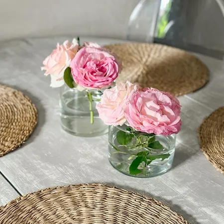 La Dolce Santo Stefano Elegant & Cosy Ponte Pietra Terrace アパート *